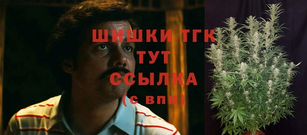 сатива Майский