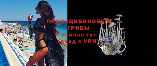 а пвп мука Медвежьегорск