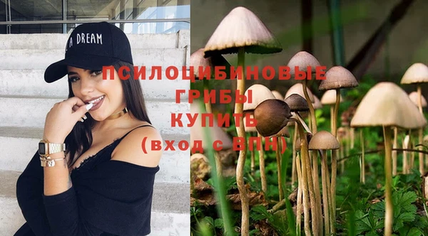 гидропоника Магас