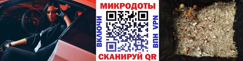 Псилоцибиновые грибы Psilocybe  наркота  Афипский 